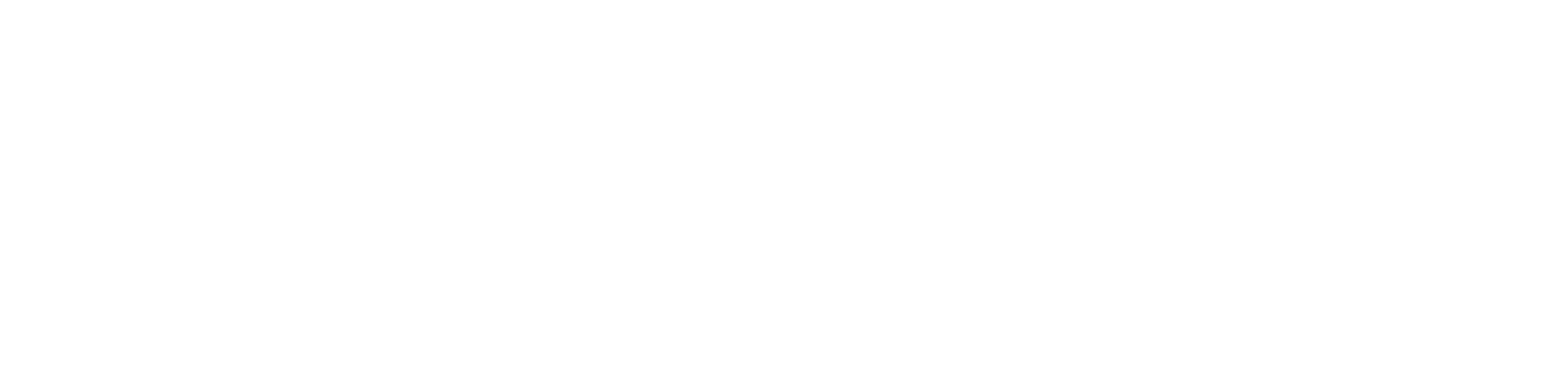 A Digital Galaxy